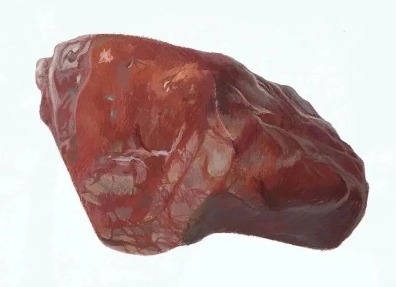 chicken bloodstone