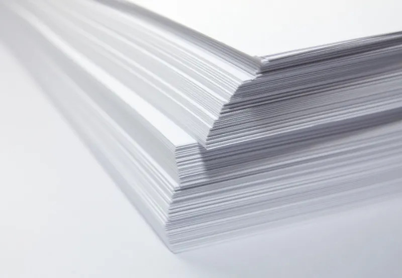 papermaking industry