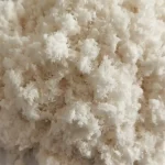 Carboxymethyl cellulose