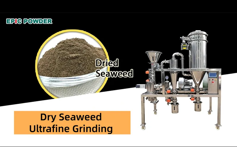 Dry Seaweed Ultrafine Grinding
