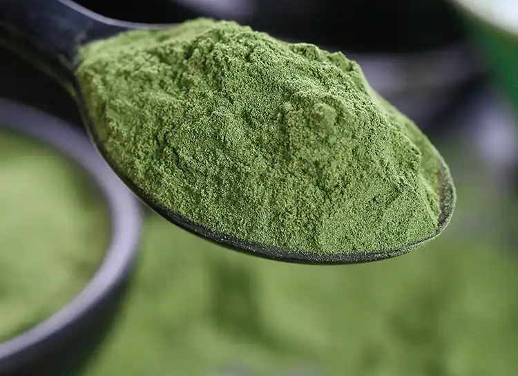 seaweed powder