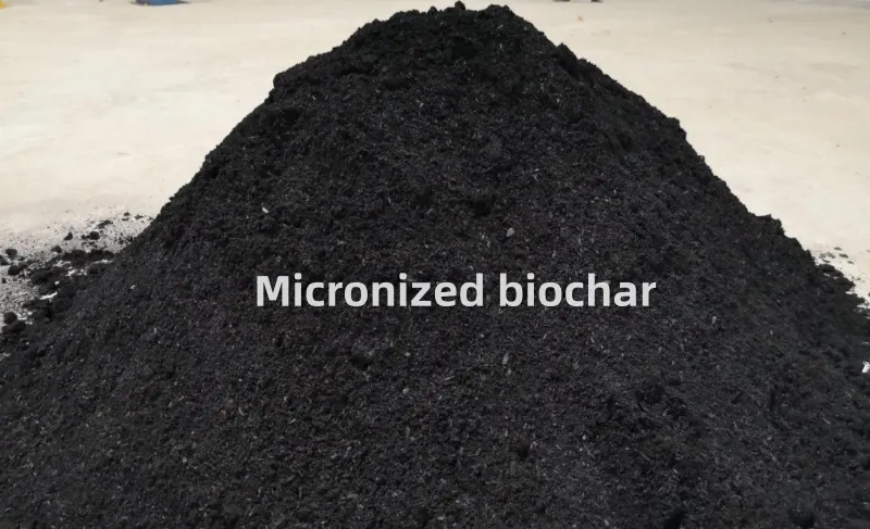 Micronized biochar